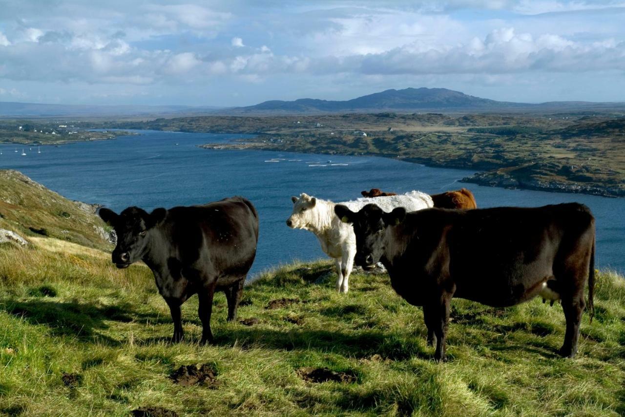 Apartment 263 - Clifden Buitenkant foto
